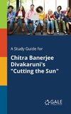 A Study Guide for Chitra Banerjee Divakaruni's 