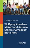 A Study Guide for Wolfgang Amadeus Mozart and Antonio Salieri's 