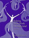 Perschy, M: Helping Teens Work Through Grief