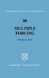 Multiple Forcing