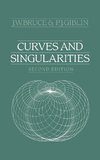 Curves and Singularities