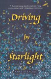 Driving by Starlight