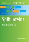 Split Inteins