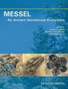 MESSEL - An Ancient Greenhouse Ecosystem