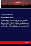 Cultivated roses;