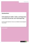 Schrumpfende Städte. Städte und Regionen zwischen Wachstum und Schrumpfung