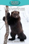 Wolverines