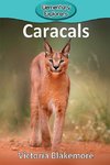 Caracals