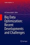 Big Data Optimization: Recent Developments and Challenges