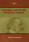 Natural Law in the Spiritual World