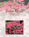 Rose Bush