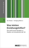 Was leisten die Erziehungshilfen?