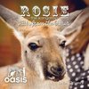 Rosie The Kangaroo