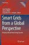 Smart Grids from a Global Perspective