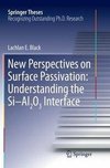 New Perspectives on Surface Passivation: Understanding the Si-Al2O3 Interface