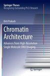 Chromatin Architecture