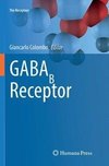 GABAB Receptor