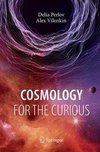 Cosmology for the Curious