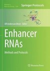 Enhancer RNAs