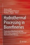 Hydrothermal Processing in Biorefineries