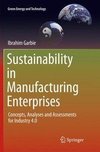 Sustainability in Manufacturing Enterprises