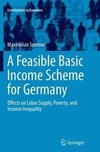 A Feasible Basic Income Scheme for Germany