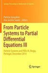 From Particle Systems to Partial Differential Equations III