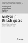 Analysis in Banach Spaces