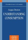 Understanding Consumption