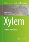 Xylem