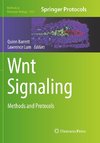 Wnt Signaling