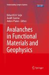 Avalanches in Functional Materials and Geophysics