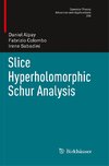 Slice Hyperholomorphic Schur Analysis