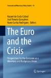 The Euro and the Crisis