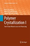 Polymer Crystallization I