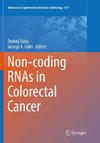 Non-coding RNAs in Colorectal Cancer