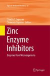 Zinc Enzyme Inhibitors