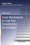 Strain Mechanisms in Lead-Free Ferroelectrics for Actuators