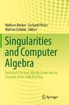 Singularities and Computer Algebra