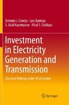 Investment in Electricity Generation and Transmission