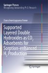 Supported Layered Double Hydroxides as CO2 Adsorbents for Sorption-enhanced H2 Production