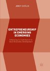 Entrepreneurship in Emerging Economies