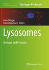 Lysosomes