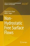 Non-Hydrostatic Free Surface Flows