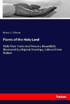 Plants of the Holy Land