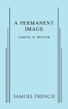 Permanent Image, A