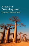 A History of African Linguistics