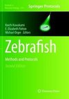 Zebrafish