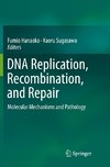 DNA Replication, Recombination, and Repair