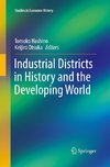 Industrial Districts in History and the Developing World